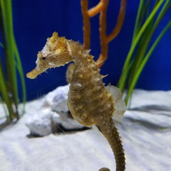 Meet your Posher, Maria - Picture 4 of 4